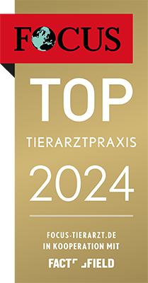 TOP Tierarztpraxis 2024